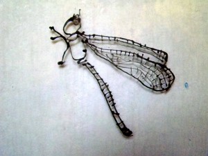 damselfly glasline drawing